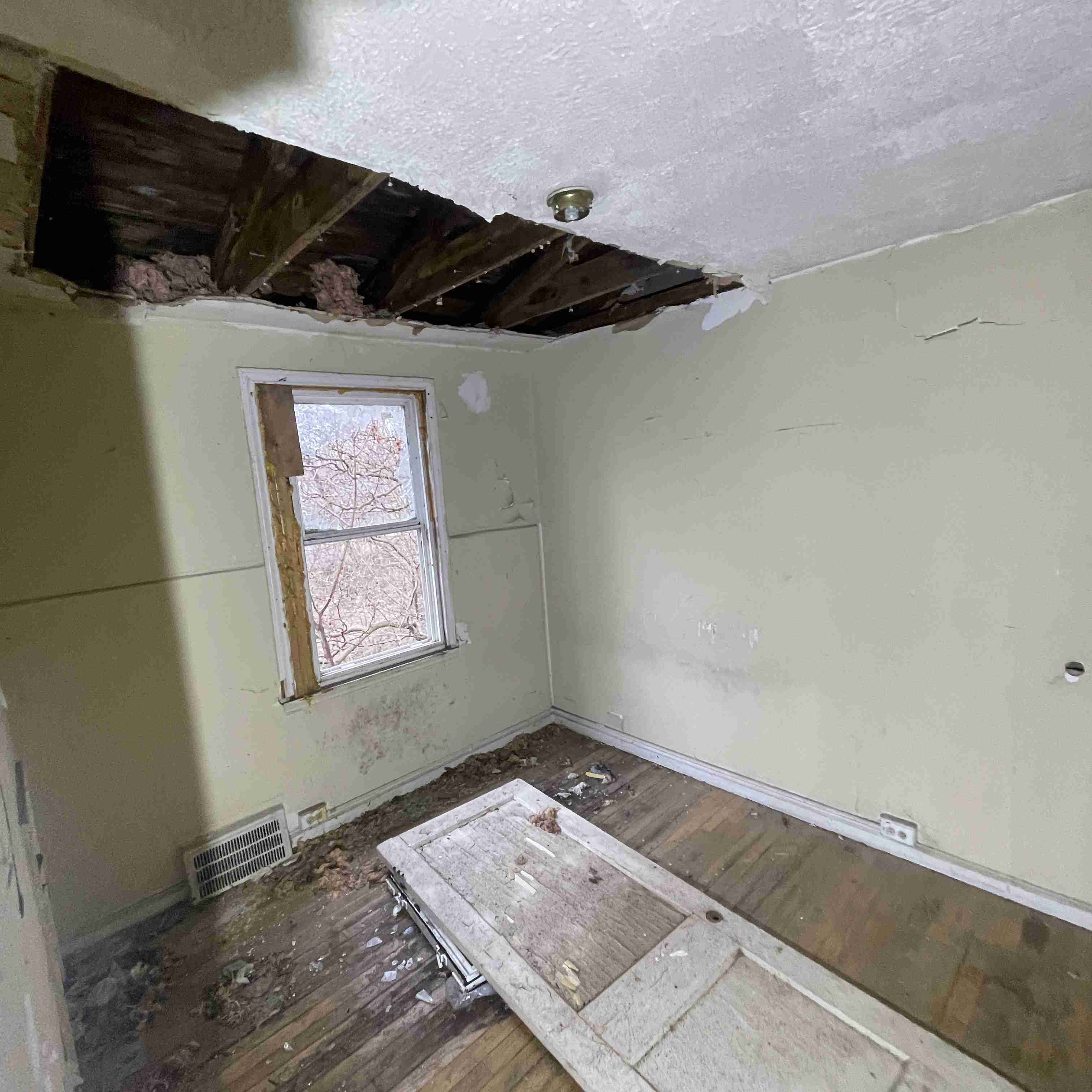 20015 Schoenherr (46).jpg